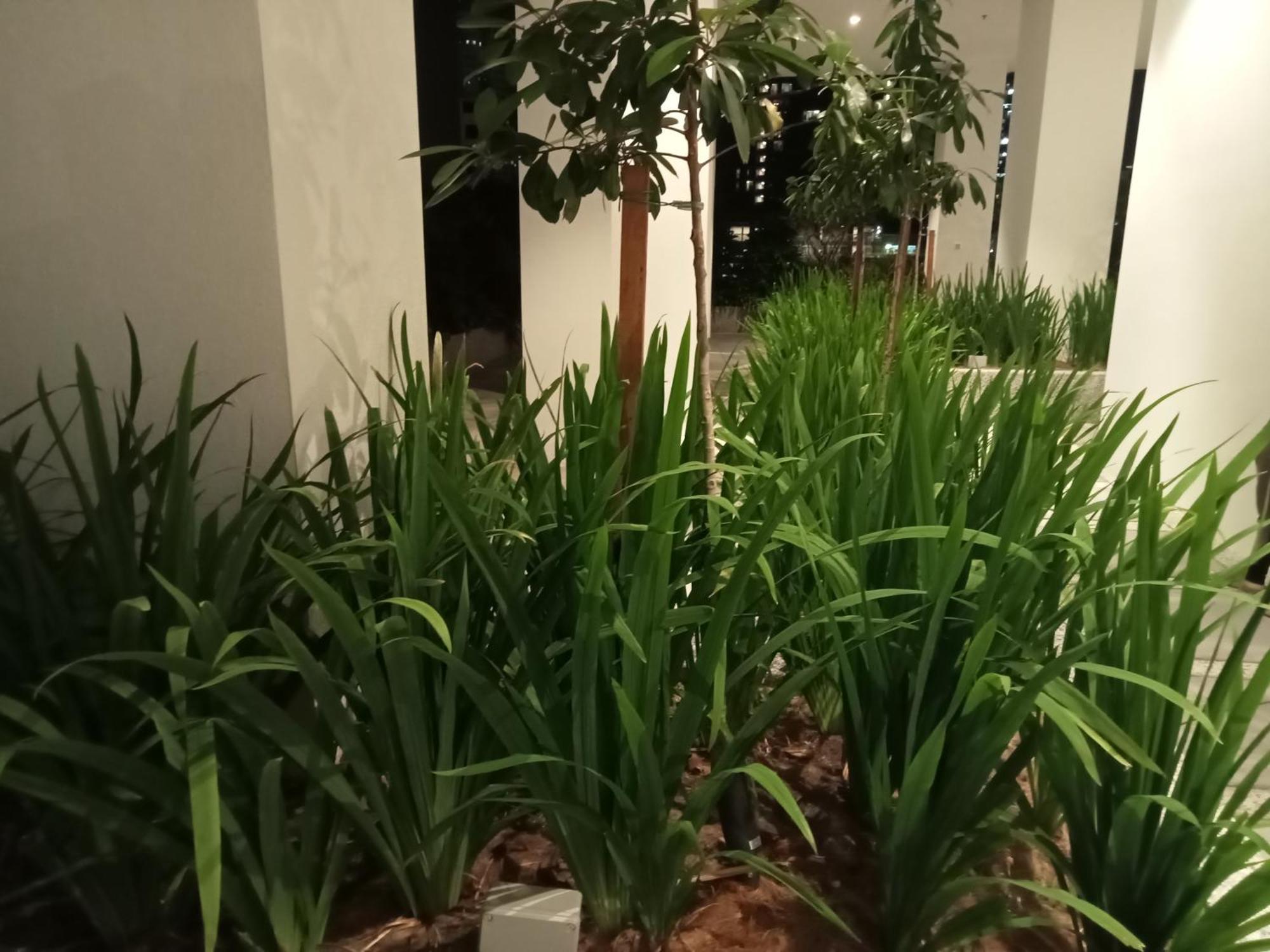 Apartment De Lincon Service At Quill Kuala Lumpur